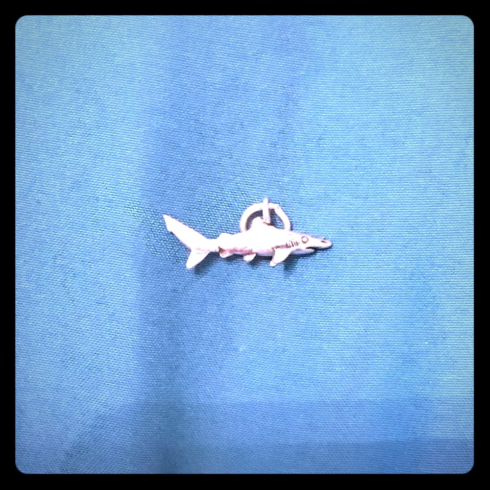 Sterling Silver Shark Charm 🌵